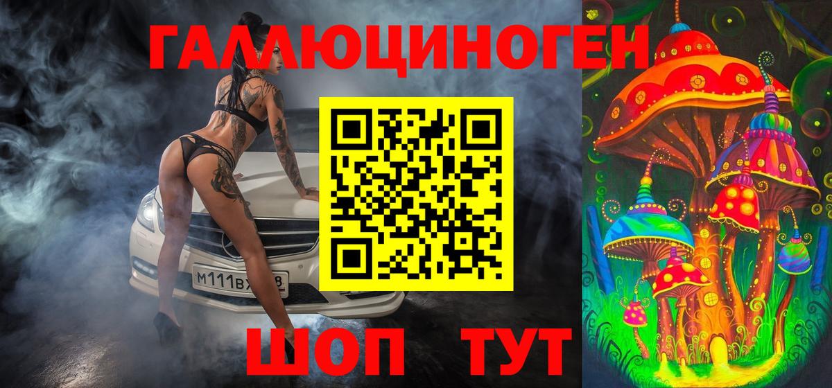Псилоцибиновые грибы Psilocybe Феодосия