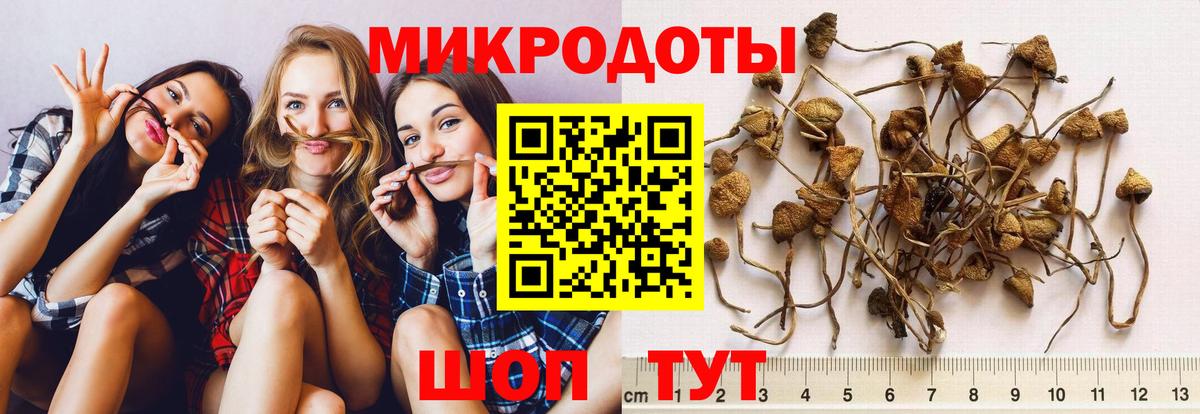 Феодосия  Галлюциногенные грибы мухоморы  Вход с VPN 